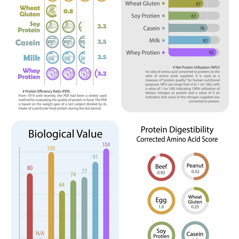 
                      
                        My Wellness Clean Whey Isolate 800g Protein Quality Rankings
                      
                    